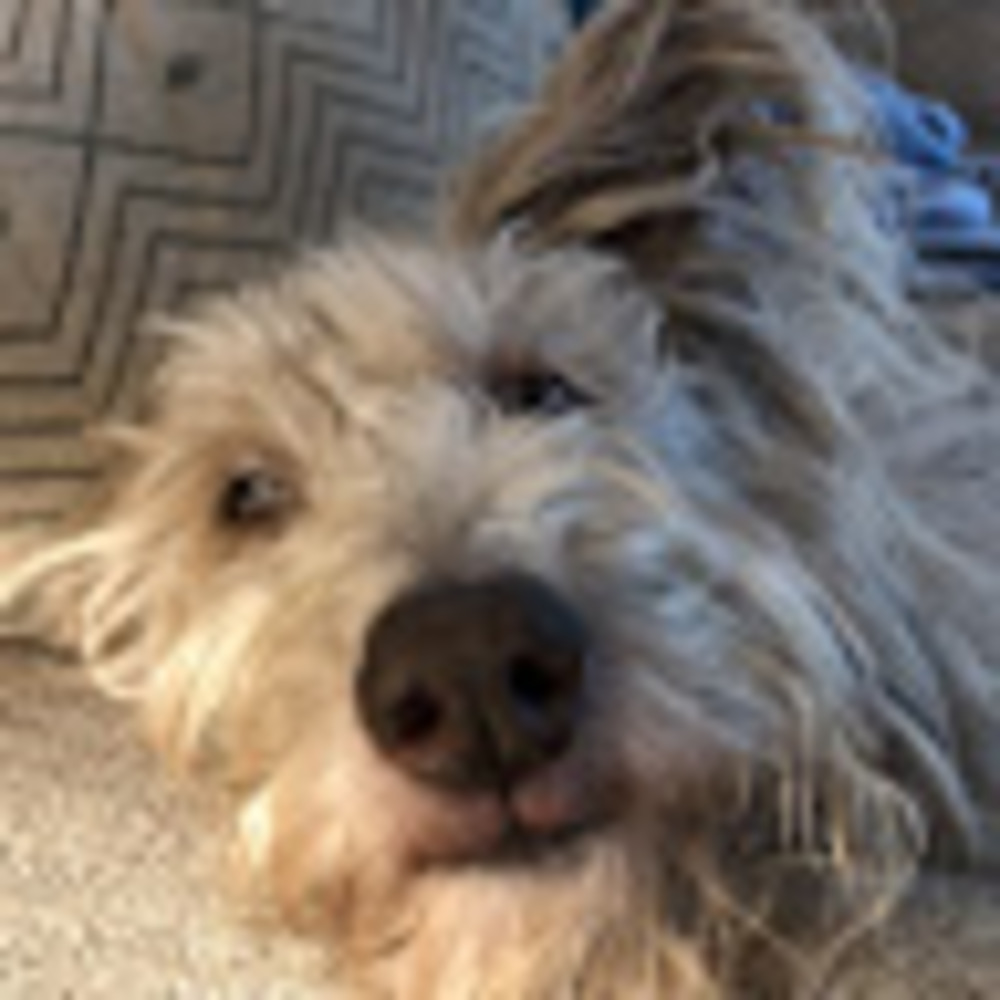 Meet your Posher, A. robert